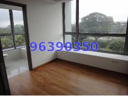 Signature At Lewis (D10), Apartment #153756542